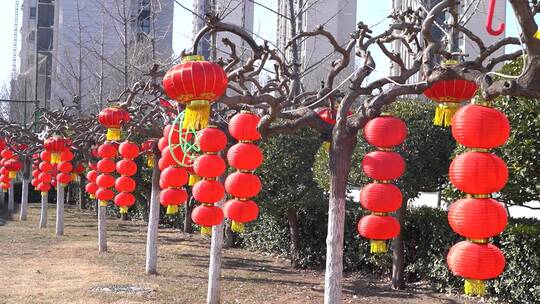 春节喜庆福字红灯笼实拍素材