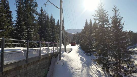 坐在火车上 穿过积雪覆盖的 森林旅行