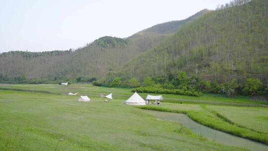 山谷露营草地空镜-小杭坑