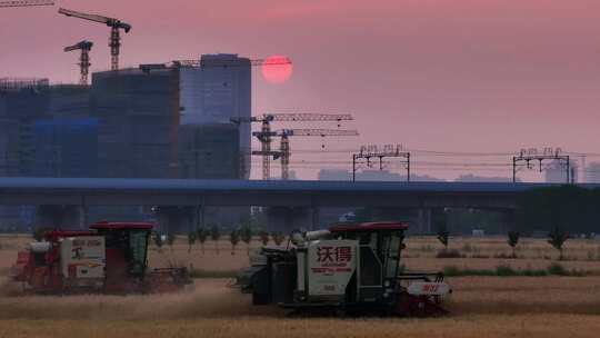 杭州钱江世纪城高铁麦田城市丰收同框