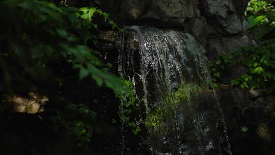 小溪流水