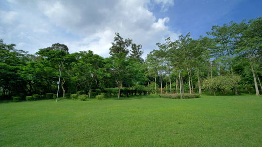 蓝天阳光草坪公园草地绿地