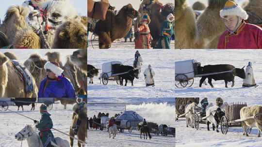 【10条合集】蒙古族民俗传统文化-53高清在线视频素材下载