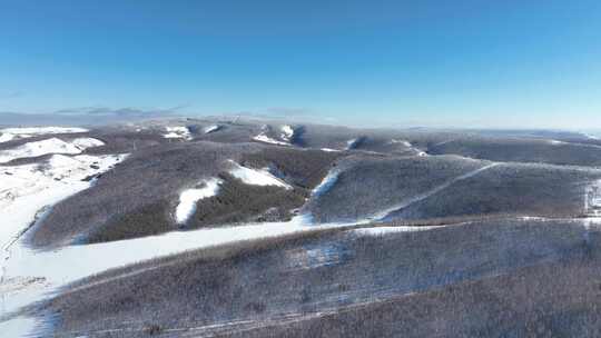 大兴安岭自然风光冬季雪景视频素材模板下载