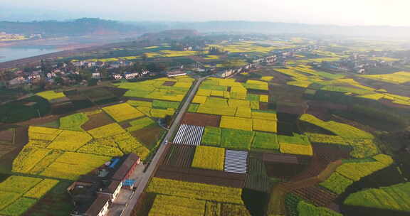 航拍四川春天的油菜花地