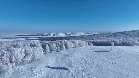 银装素裹的雪原白桦林风景