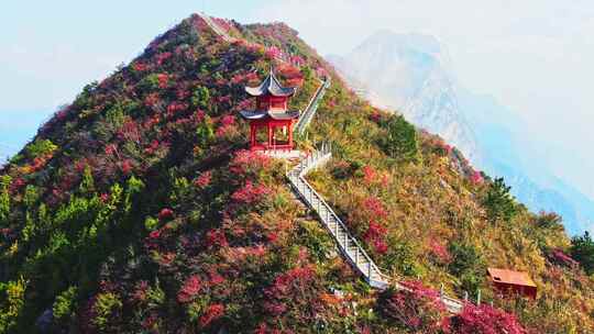 航拍巫峡红叶