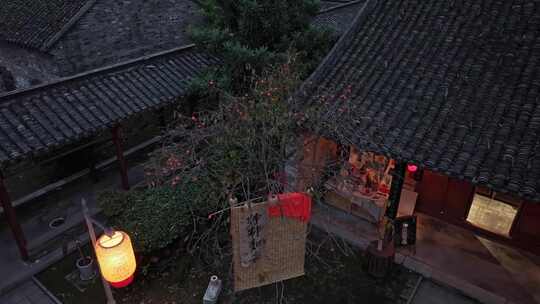 中式庭院 柿子树 夜景 灯笼 节日