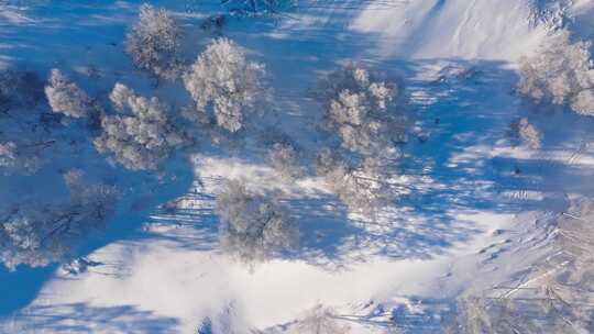 冬季乌兰布统绝美雾凇雪林雪景