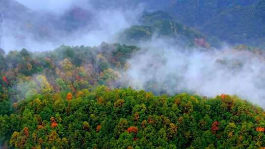 秦岭 云海 秋色 山脉