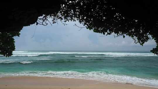 阴天，海浪拍打在树木附近的海滩上