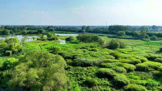 湿地自然风光全景
