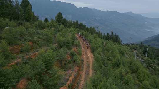 云南山区树林蜿蜒土路马帮