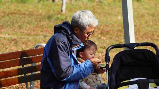 老人带孩子 公园 老人 儿童 幸福 户外