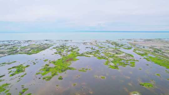 新疆阿勒泰乌伦古湖沼泽湿地自然风景航拍