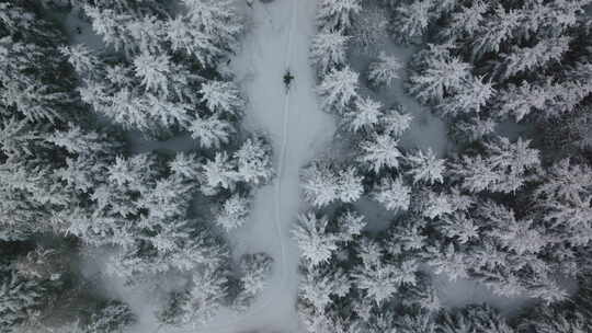 无人机跟踪人滑雪视频素材模板下载