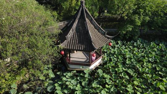 上海醉白池公园4K航拍原素材