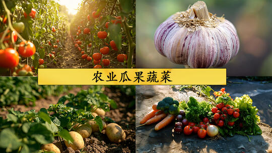 农业瓜果蔬菜