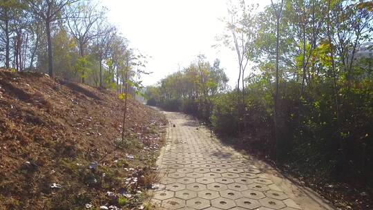 航拍陕西城市现代化发展建筑