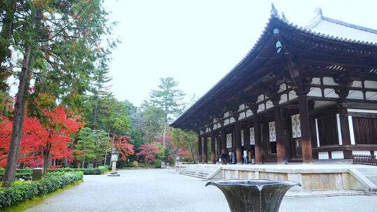 日本京都金福寺