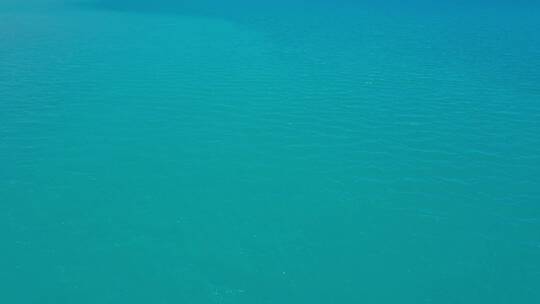 航拍海鸥飞过蓝色的佩枯措湖面