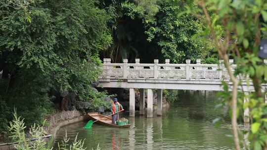 湖面水质清理，湖面垃圾清理视频素材模板下载