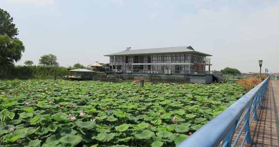 生态湿地长荡湖水街典雅船餐厅建筑风光