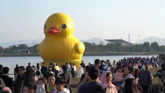 深圳人才公园超大黄鸭RubberDuck参观人群