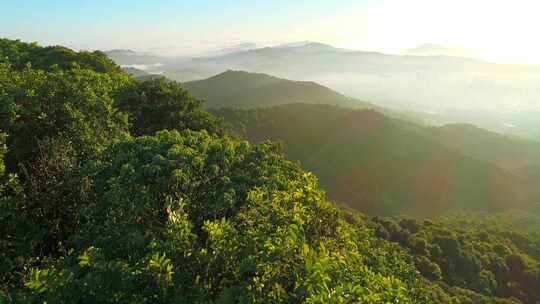 航拍广州白云山日出 眺望广州城区