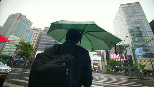 斑马路口撑伞的男人视频素材模板下载