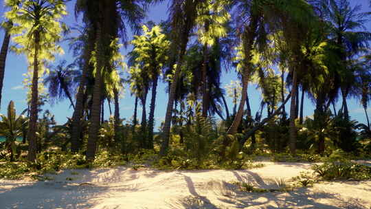 棕榈树和晴朗蓝天的热带天堂