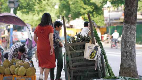 市景的夏日路边