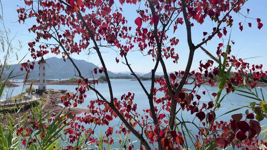 秋天的杭州千岛湖   4k