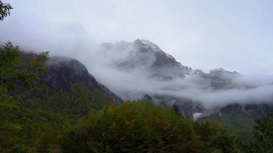 山云雾生态大自然森林晨雾山川山林雾