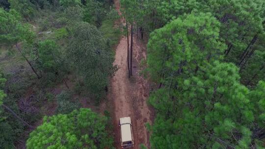 森林小路视频山区森林中土路上车辆艰难行驶