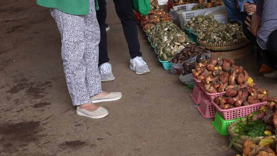 云南木水花野生菌交易市场