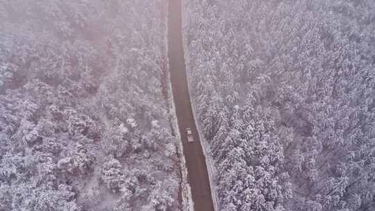 航拍雪林公路行驶的车辆