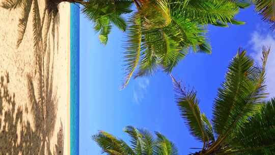 大海沙滩海浪椰子树视频素材模板下载