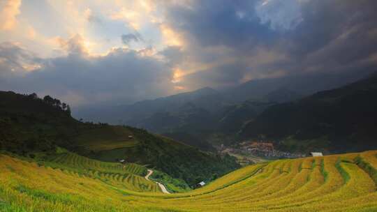 茶叶 茶山 新茶 嫩芽 茶园春茶3月茶