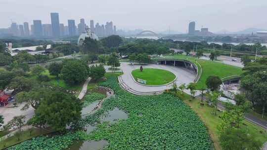 航拍福建漳州碧湖公园荷花池湿地生态