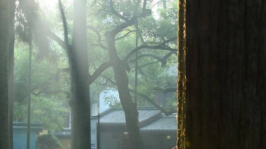 杭州千年古刹灵隐寺