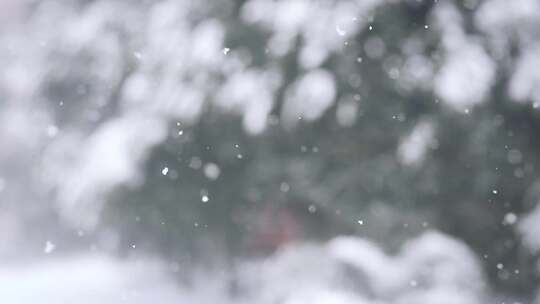 4K- 唯美雪花飘落视频素材模板下载