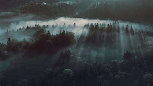 森林湖泊云海山川山脉云雾生态青山绿水