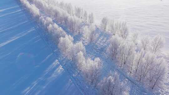 4K呼伦贝尔雪原雾凇航拍3