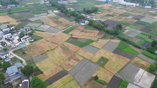 四川广汉平原土地乡村