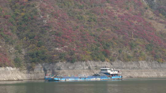 长江三峡巫峡红叶