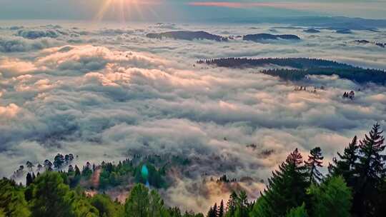 森林阳光云海森林云雾缭绕树林山大自然风景