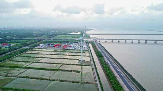 中国上海长兴岛海边稻田风车