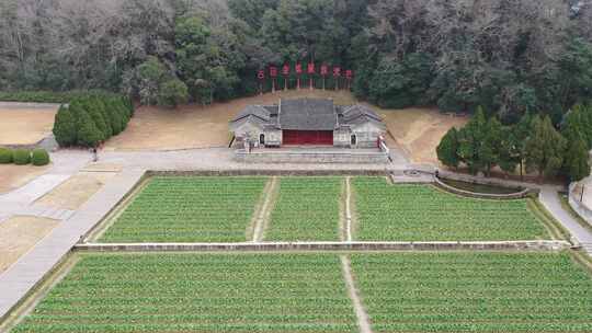 龙岩上杭县古田会议纪念馆会议会址油菜花田视频素材模板下载