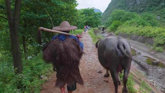 桂林山水美丽乡村田园农民劳动情景